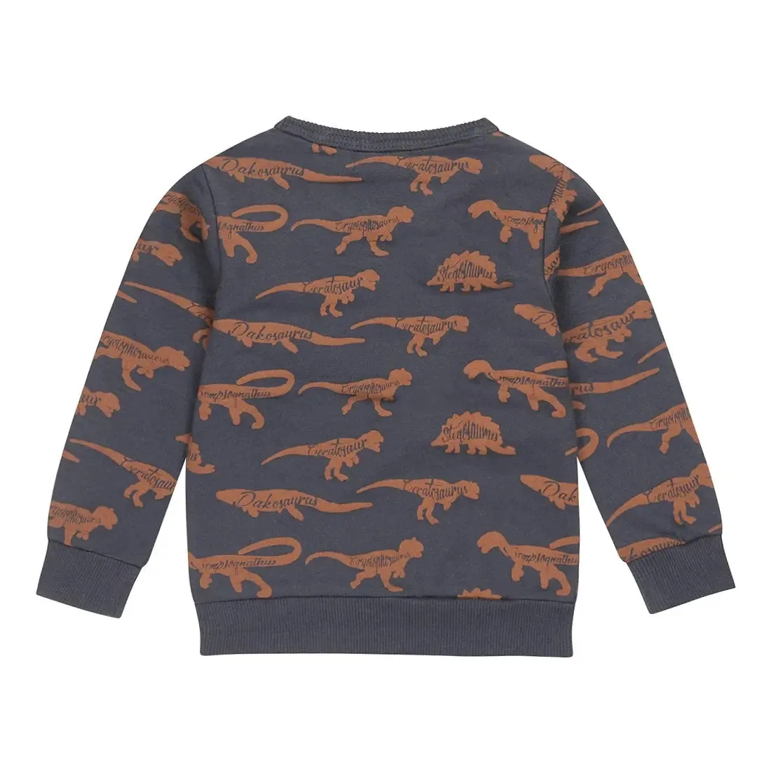 Baby & Toddler Boys Sweater Dark Blue Dino | Dirkje