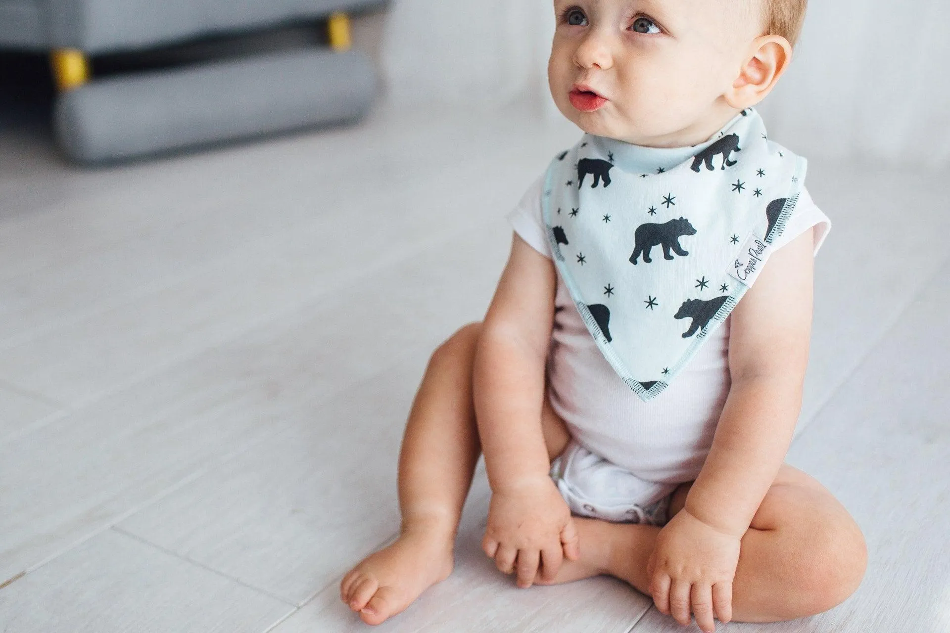 Baby Bandana Bibs - Archer