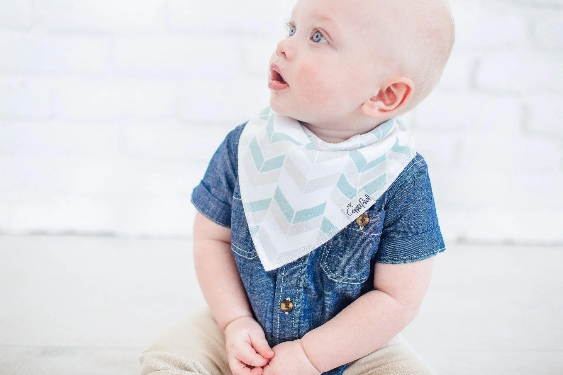 Baby Bandana Bibs - Archer