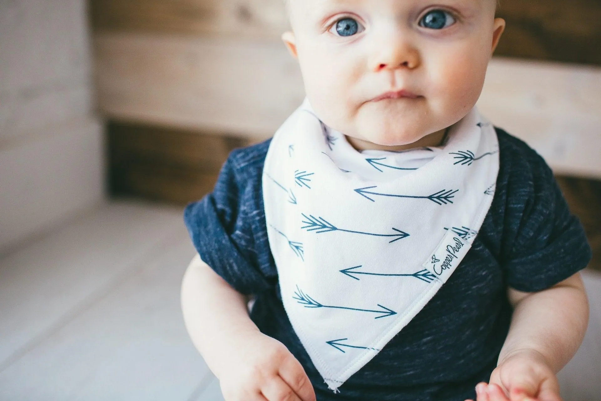 Baby Bandana Bibs - Archer