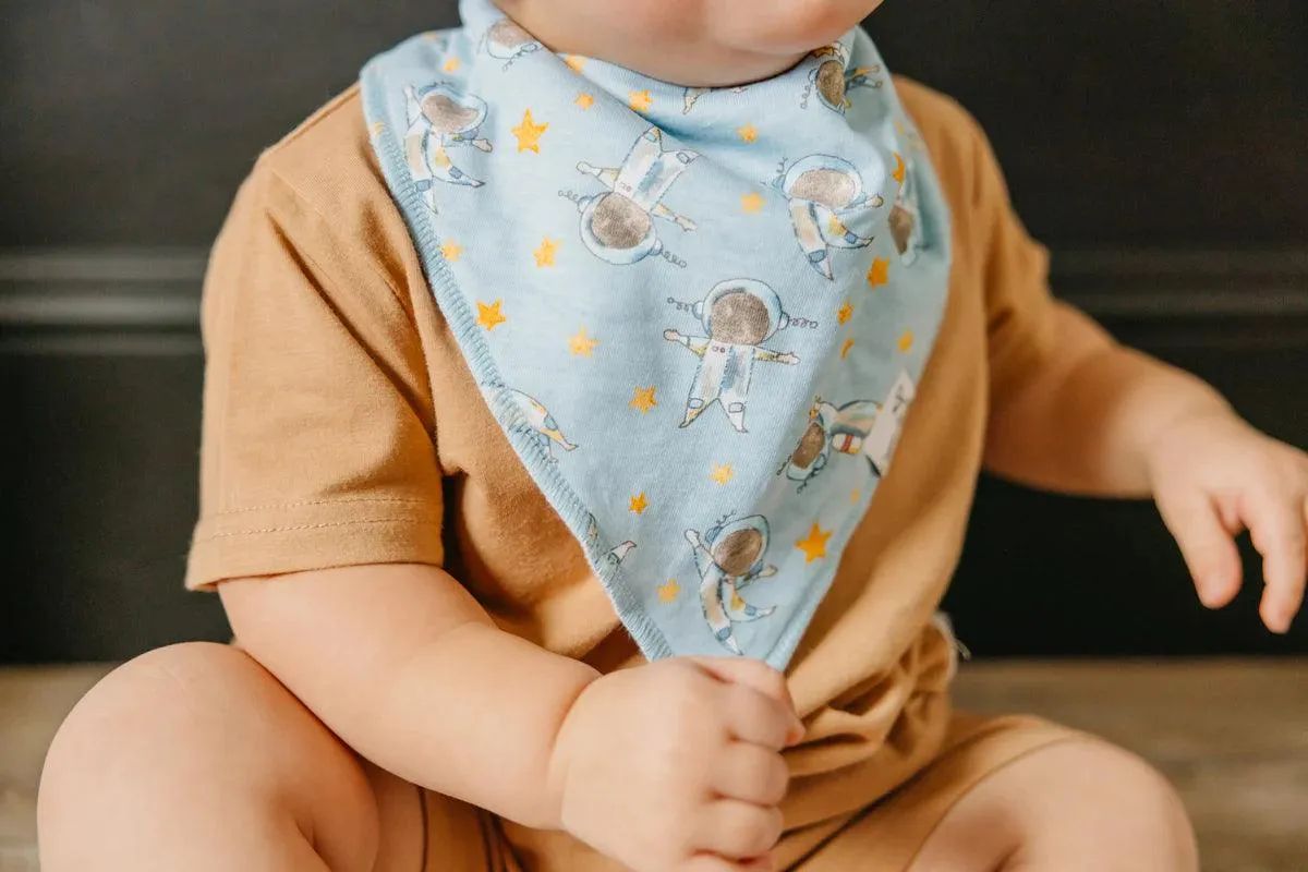 Baby Bandana Bibs - Neil