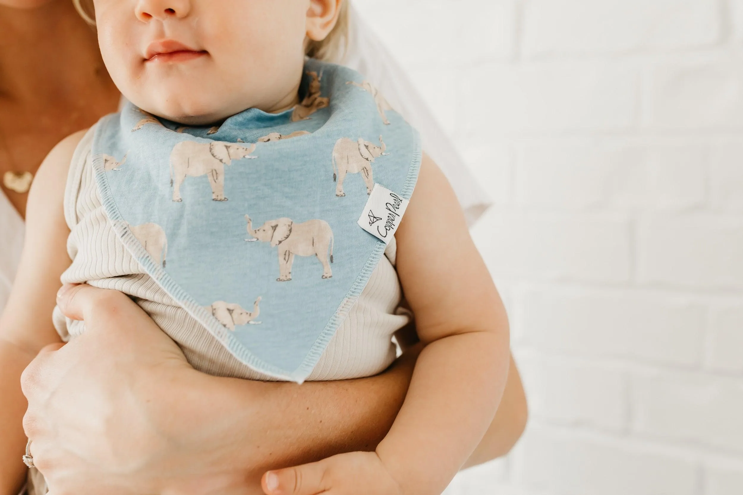 Baby Bandana Bibs - Peanut