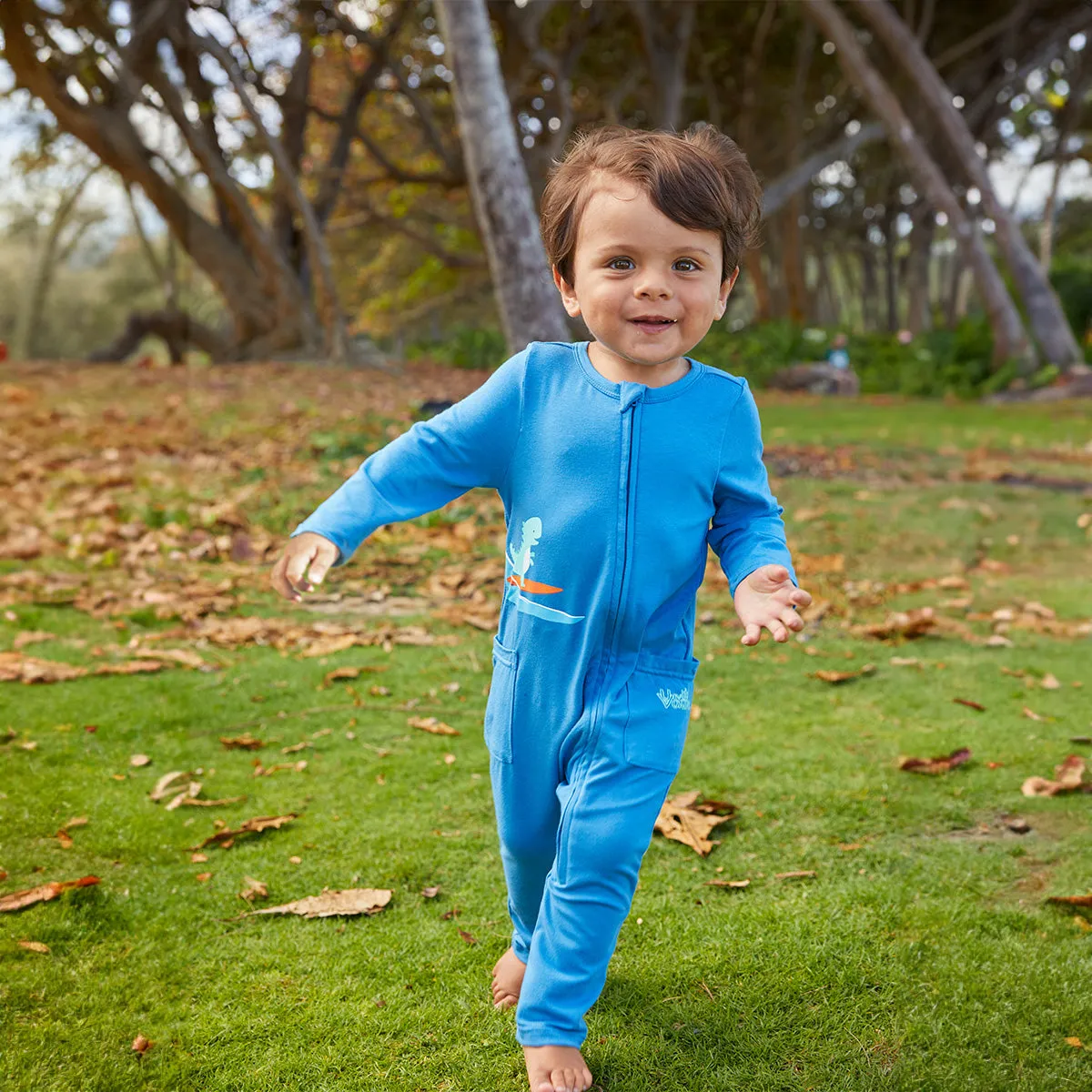 Baby Boys' Long Sleeve Everyday Romper