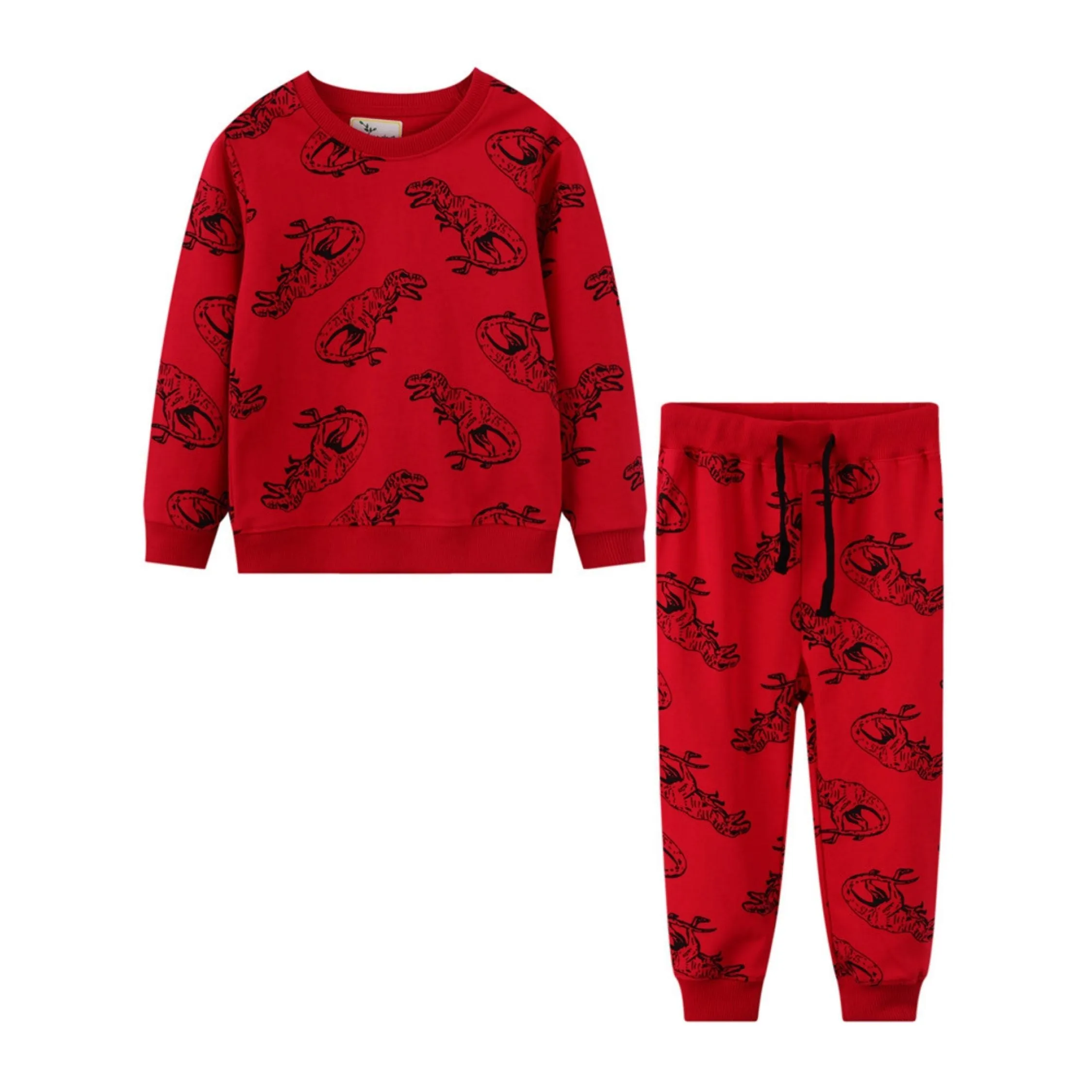 Boys 2 Piece dinosaur SweetShirt & Trouser