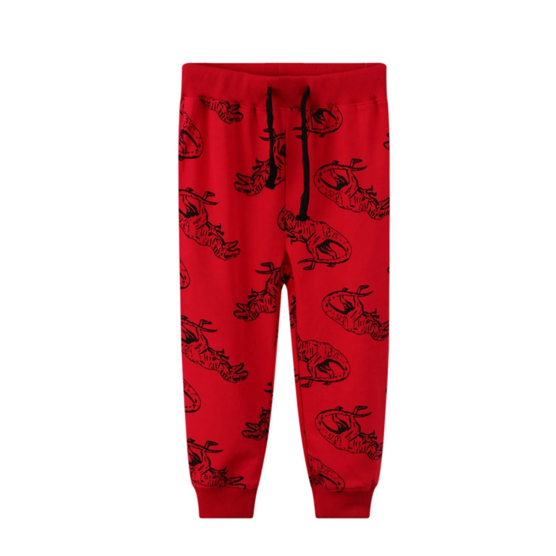 Boys 2 Piece dinosaur SweetShirt & Trouser