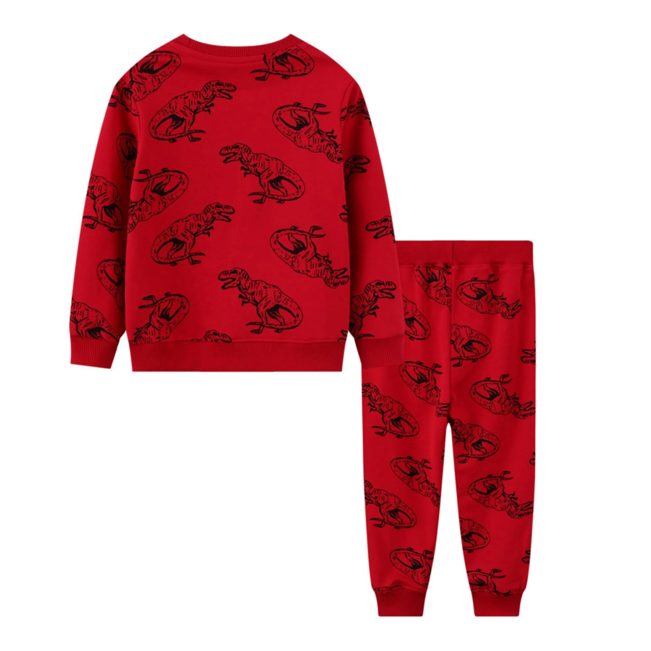 Boys 2 Piece dinosaur SweetShirt & Trouser