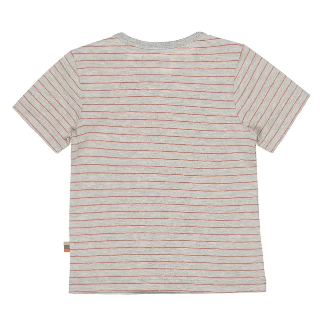 Boys T-shirt Grey Orange Lion | Dirkje