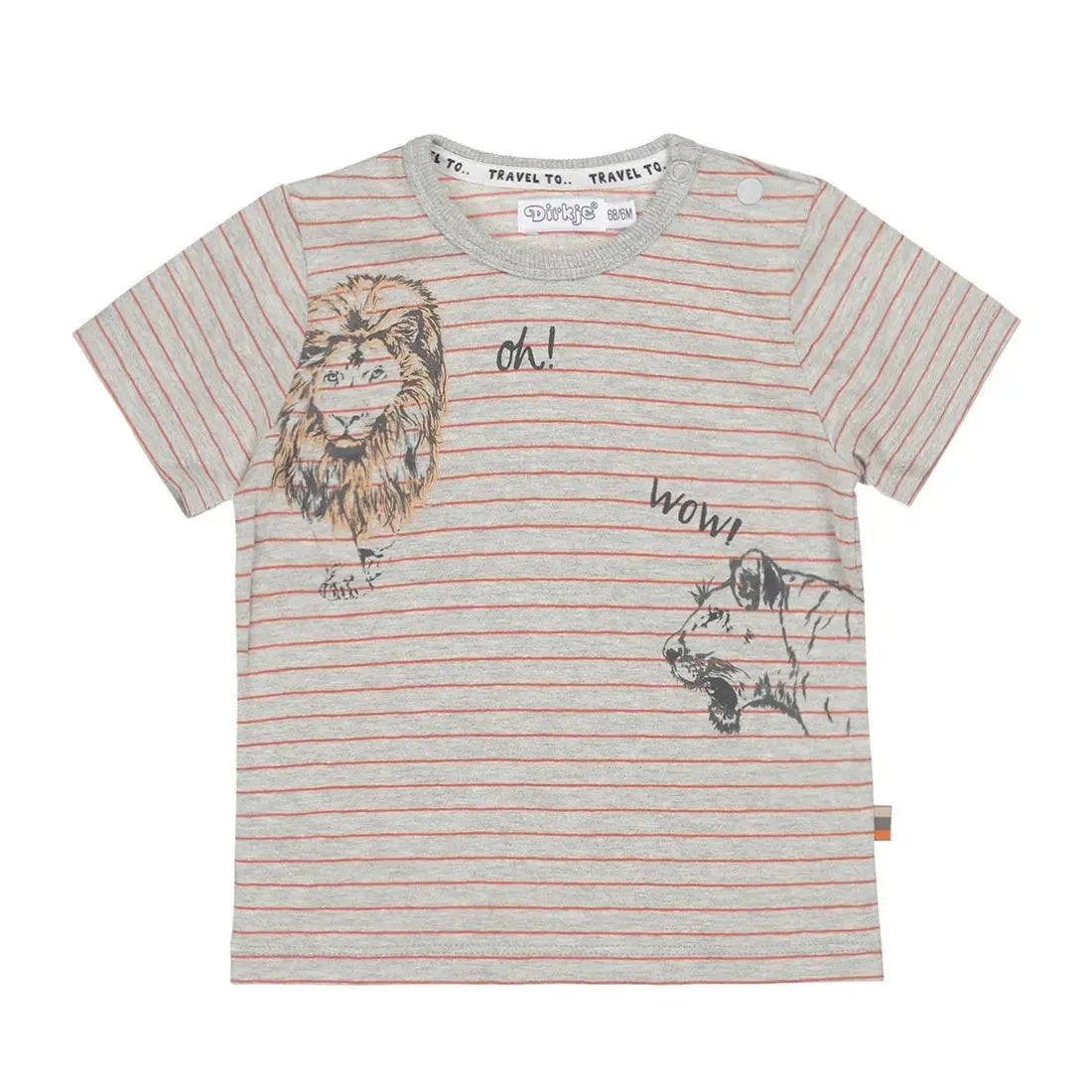 Boys T-shirt Grey Orange Lion | Dirkje