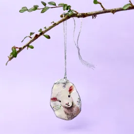 Oyster shell hanging - curious lamb