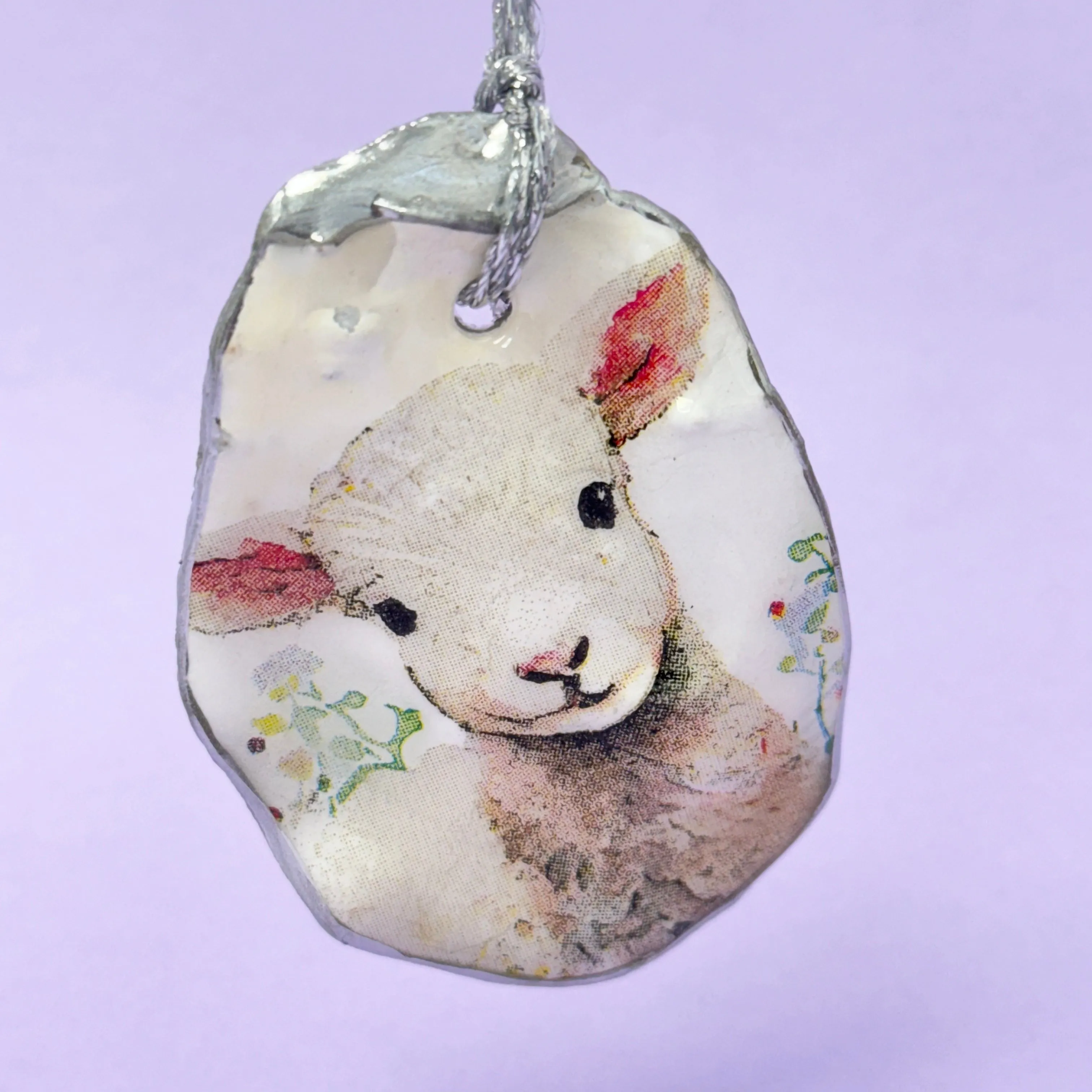 Oyster shell hanging - curious lamb