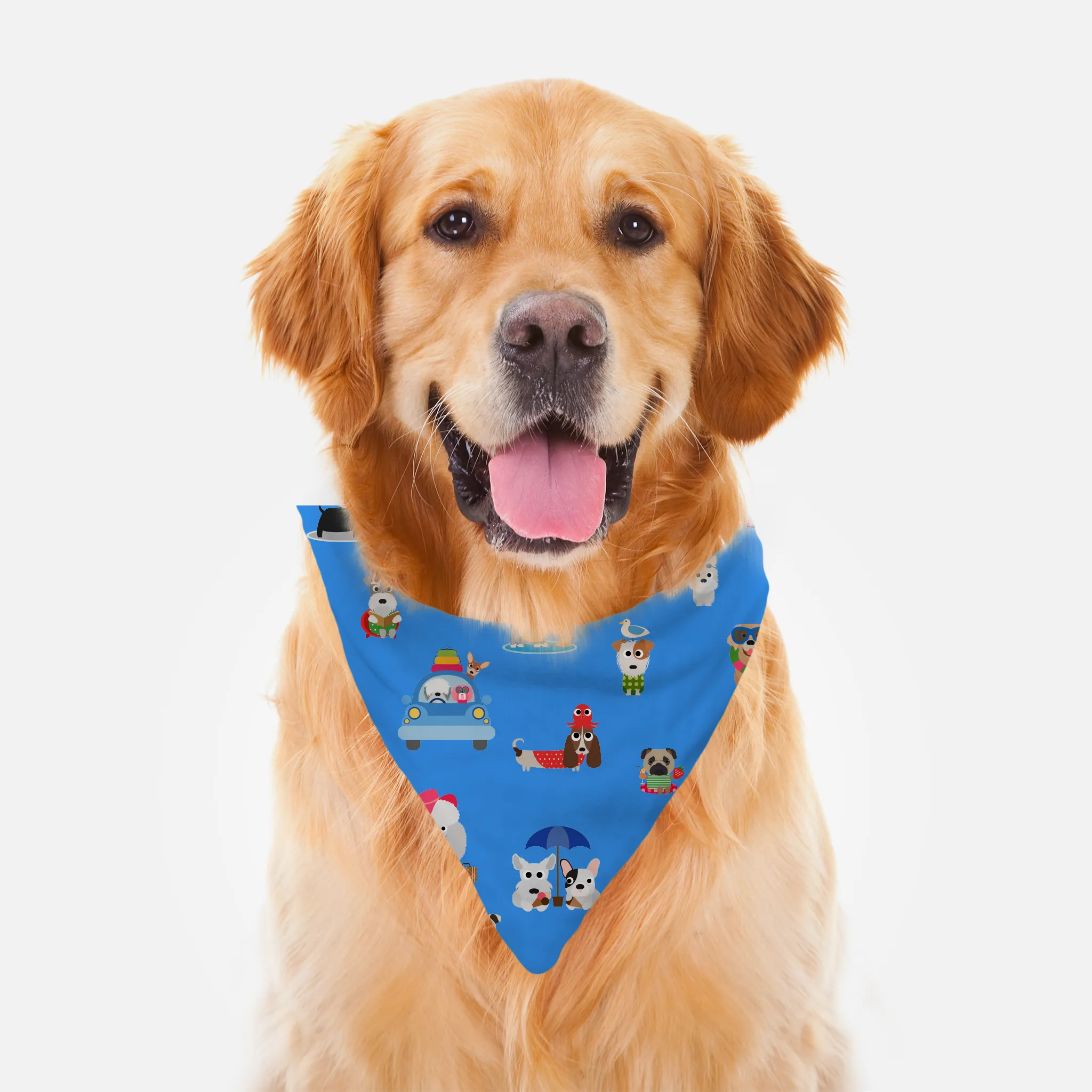 Pet Bandana: Fur-Momma & Me - Dog Or Cat